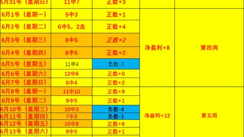 2026年分析解读，体育博彩，美因茨对决迪拜，球皇团队深度剖析